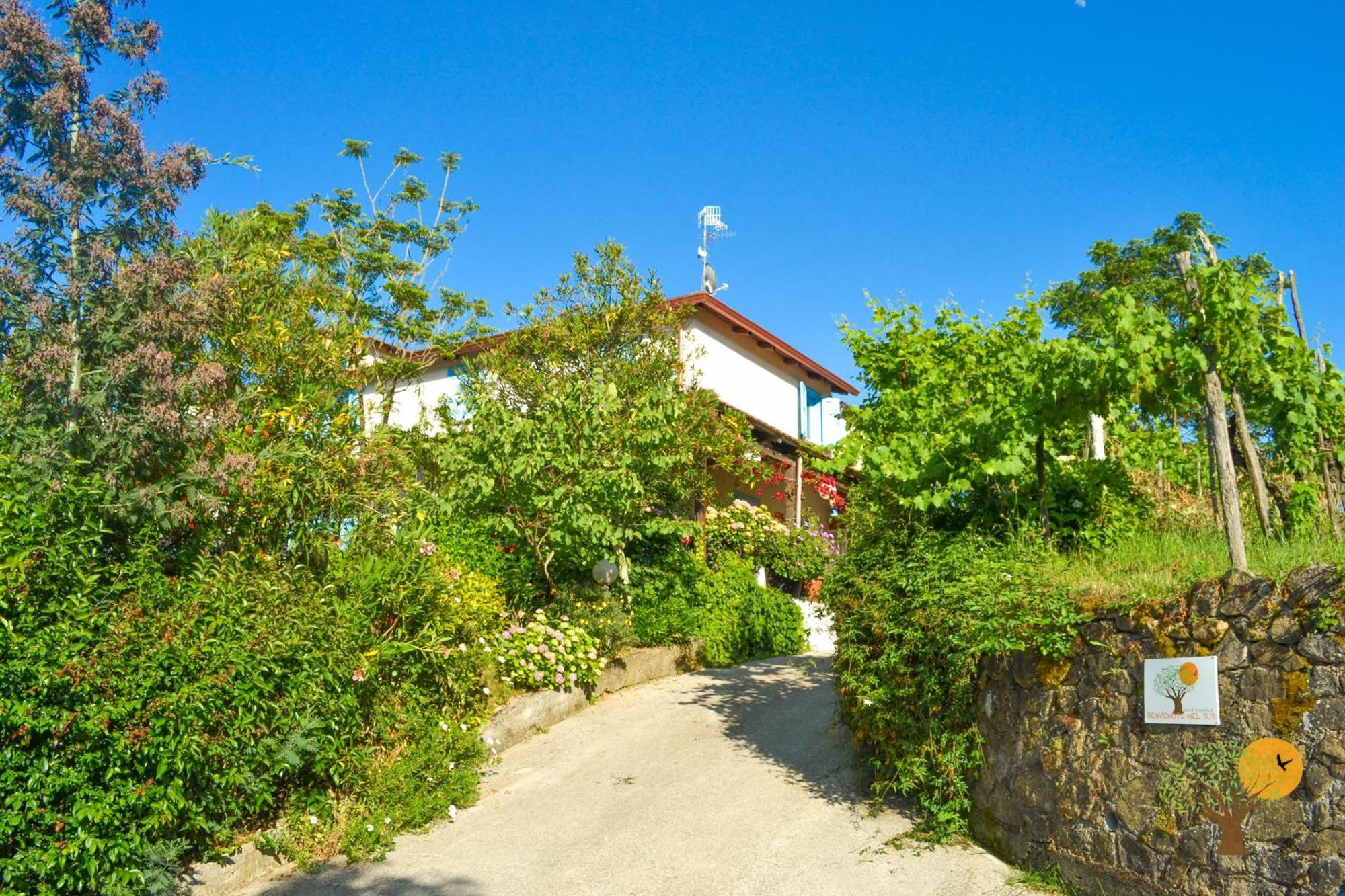 Benvenuti Nel Sud Acomodação com café da manhã Sessa Cilento Exterior foto