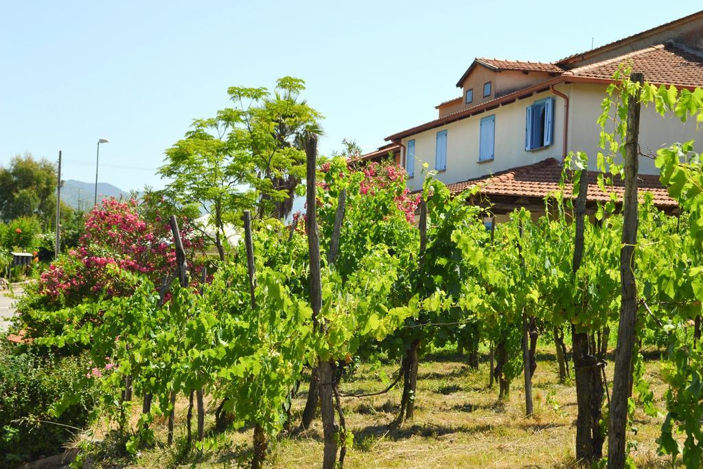 Benvenuti Nel Sud Acomodação com café da manhã Sessa Cilento Exterior foto