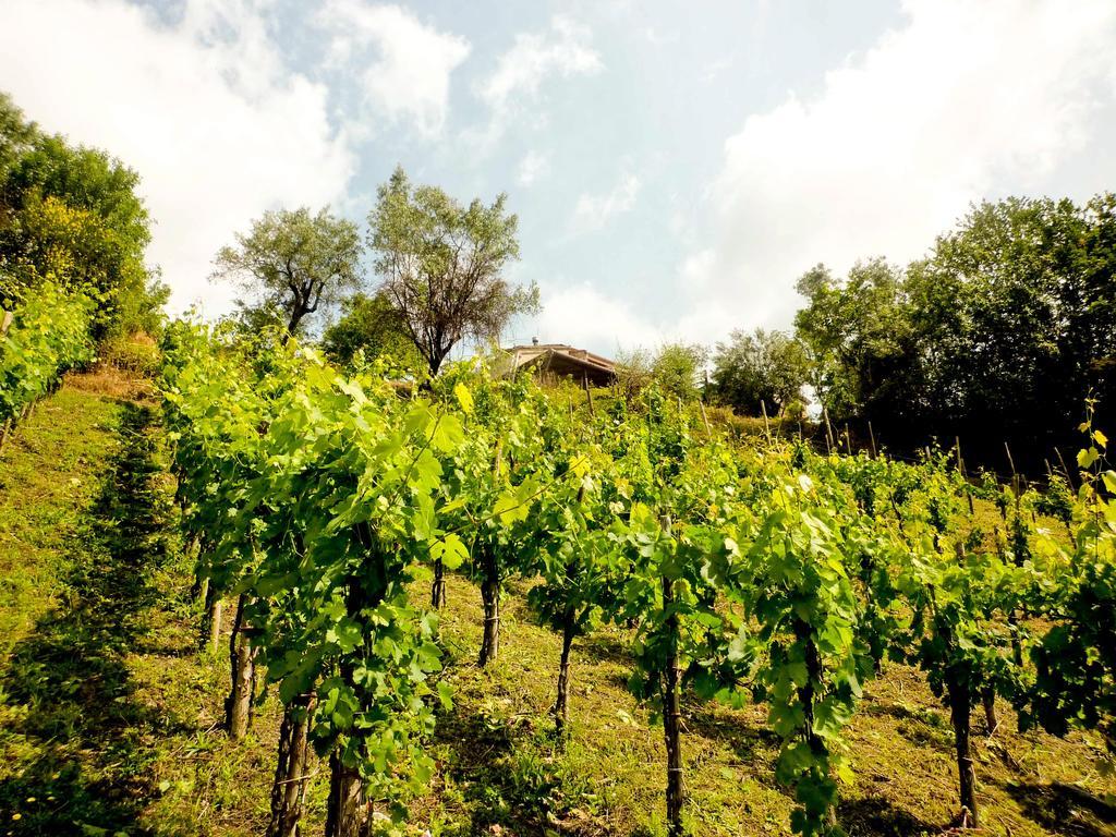 Benvenuti Nel Sud Acomodação com café da manhã Sessa Cilento Exterior foto