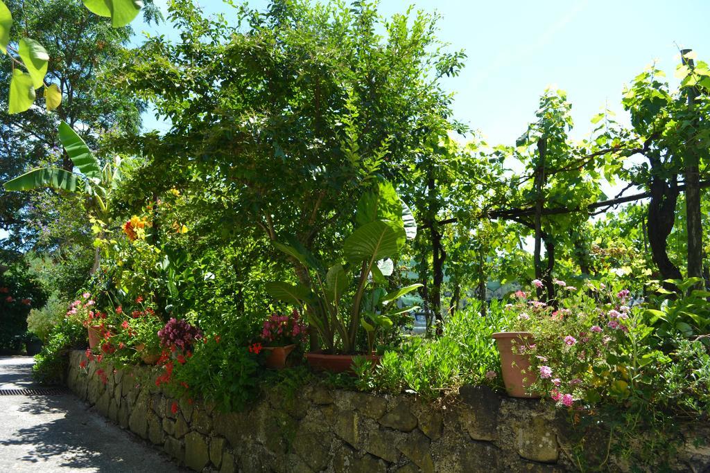 Benvenuti Nel Sud Acomodação com café da manhã Sessa Cilento Exterior foto